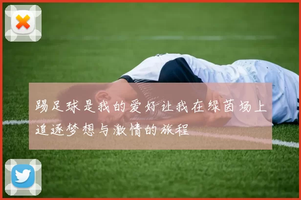 踢足球是我的爱好让我在绿茵场上追逐梦想与激情的旅程