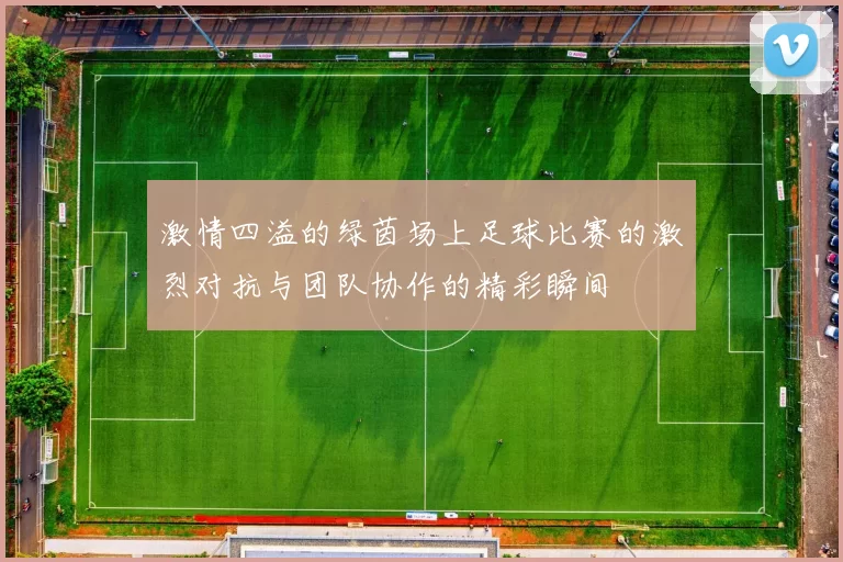 激情四溢的绿茵场上足球比赛的激烈对抗与团队协作的精彩瞬间