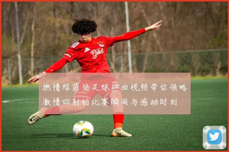 燃情绿茵场足球热血视频带你领略激情四射的比赛瞬间与感动时刻